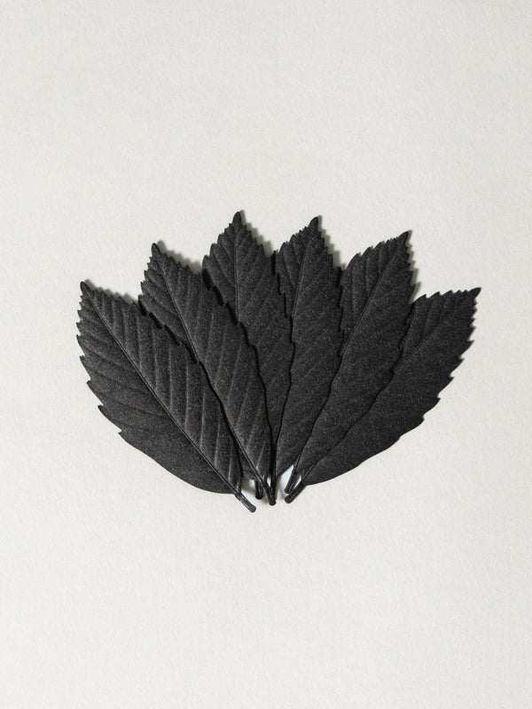 HA KO Paper Incense - Black, Set of 6 (Focus)