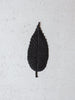 HA KO Paper Incense - Black (Focus)