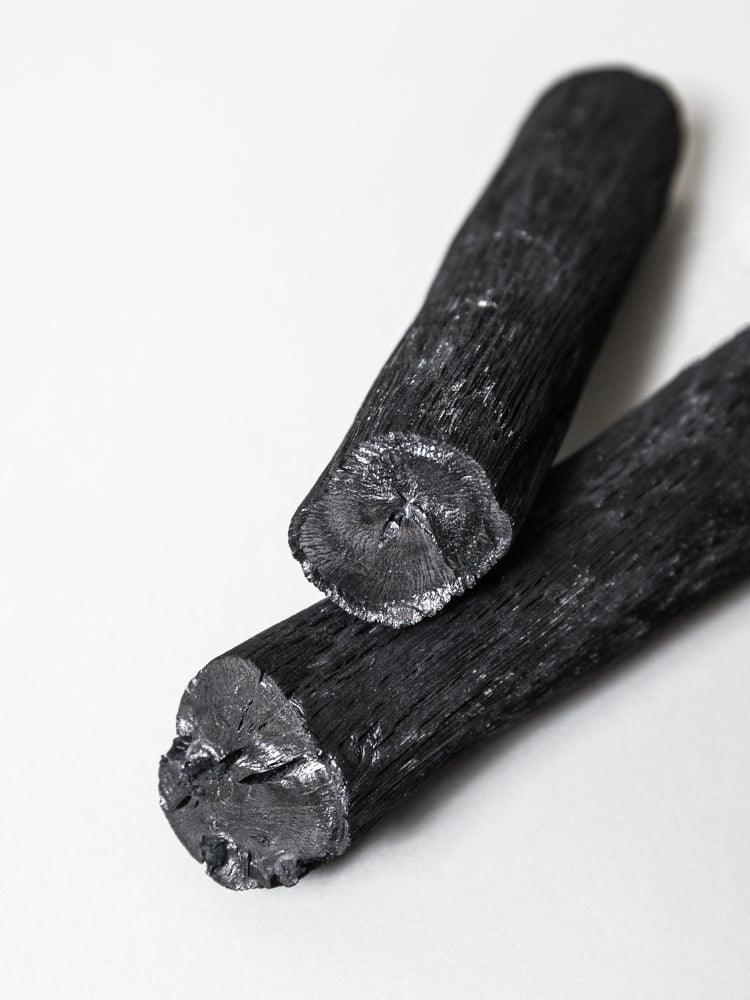 Binchotan japonais de hyuga x4 - charbons actifs - orinko - lot de